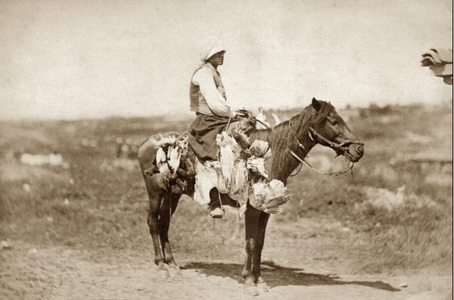 Болгарский продавец птиц